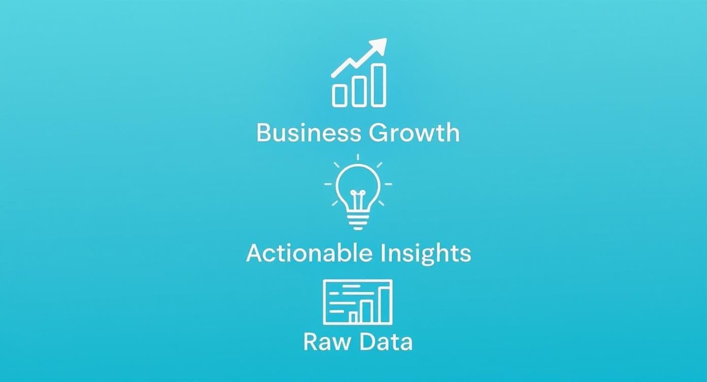 Icons representing Business Growth, Actionable Insights, and Raw Data for business analysis.
